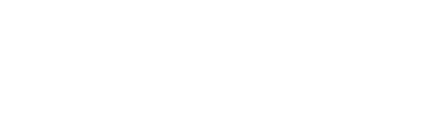 Guardo Service System